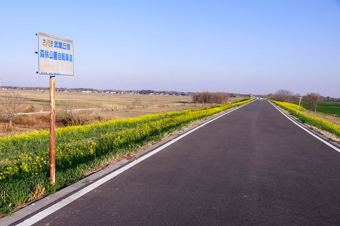 �uEarthboat Saitama Kawajima�v�������Ɗy����