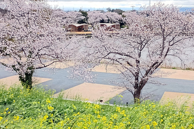 �uEarthboat Saitama Kawajima�v�������Ɗy����