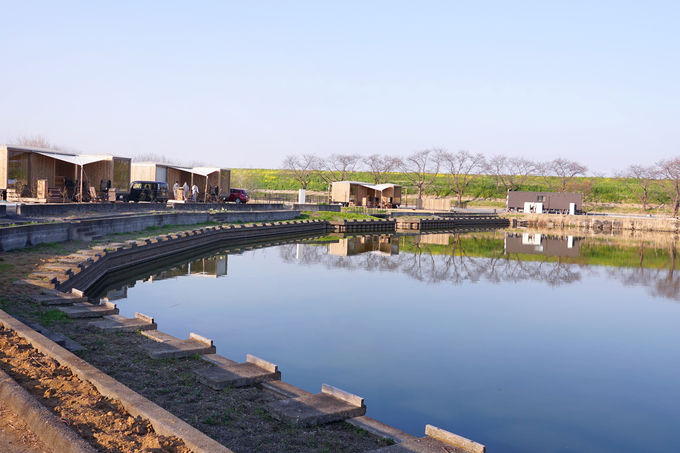 �����A�g�Œa�������uEarthboat Saitama Kawajima�v�Ƃ�