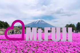 �x�m�R�[���s���N�ɐ��܂�I�t�̍ՓT�u�x�m�ō��܂�v�ŏt�F��i����ۂ̋L���T���l�C��