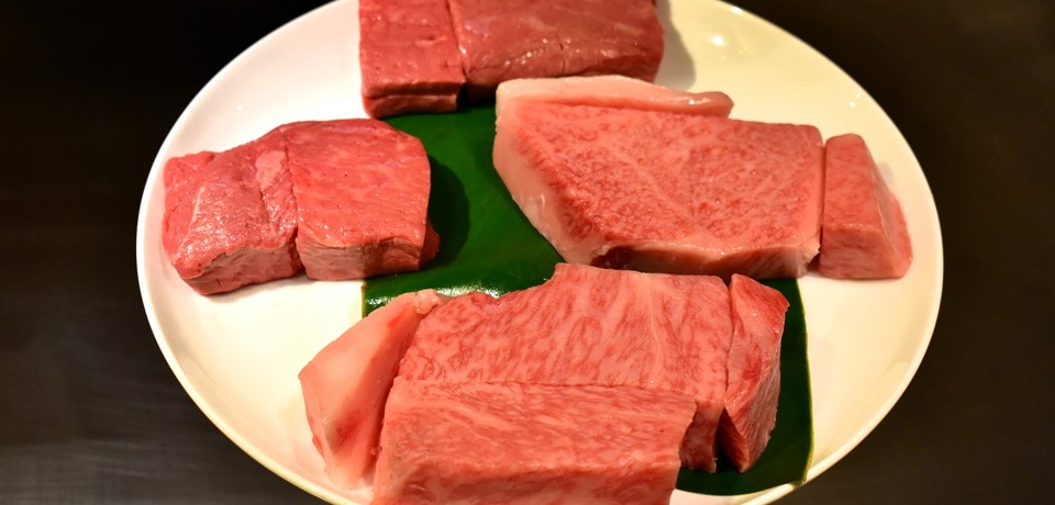 ꗿ̃tR[XIߔeuSăXe[LXgɁv