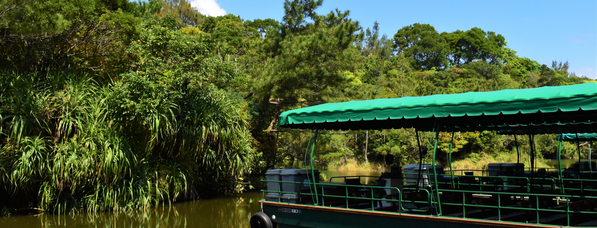 ����u�r�I�X�̋u�v���M�т̎��R�L���ȐX�Ŏv��������V�ڂ��I