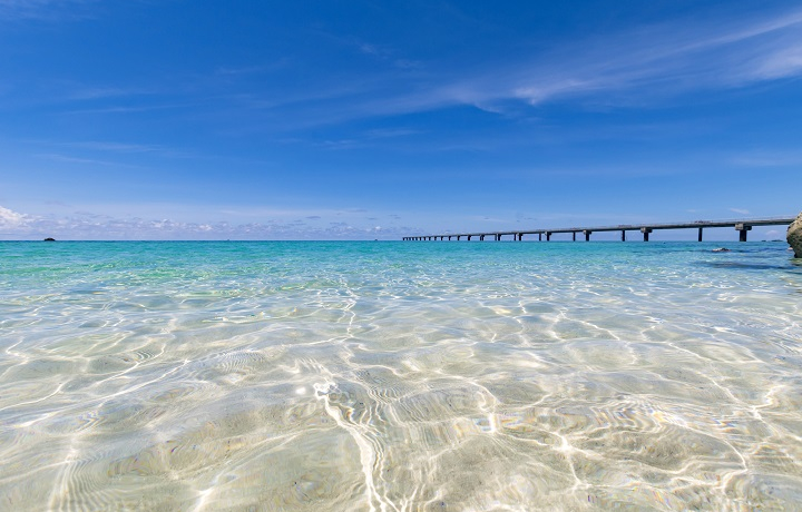 {Ï̖͖ځI{Ãu[̐iX|bg闷