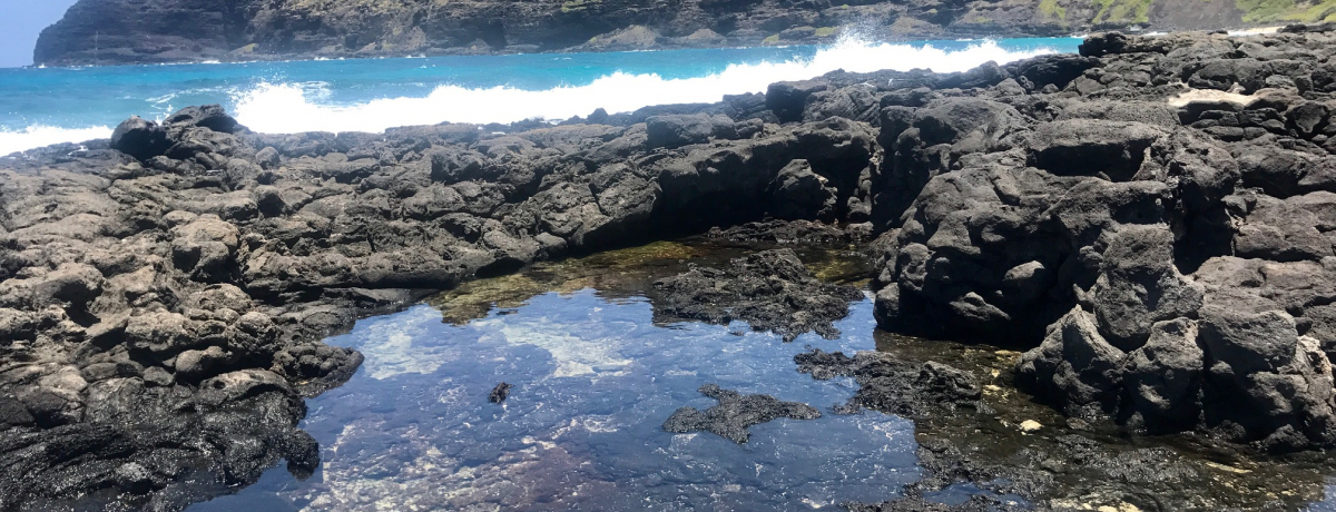 aIHnC̏򉻃p[X|bgE}JvEq[Ov[Ɣ鋫E}JvE^Chv[