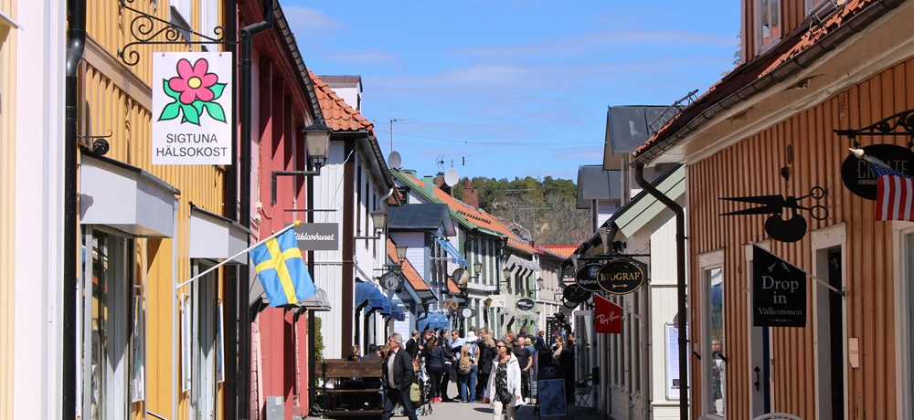 ΂ƐXɈ͂܂ꂽIXEF[fŌÂ̒VOgD[ǐ