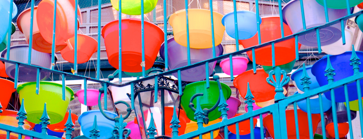 |gKEJqɒIXX̒X{̖́I