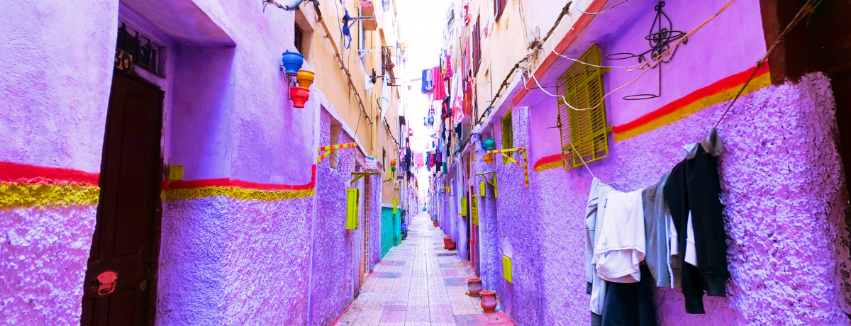 {̒ɃJt^E!?bREJTuJ̒mꂴ閣