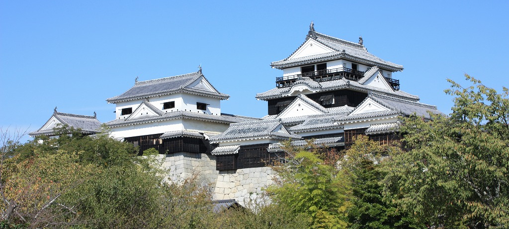 ���㉷�򂾂���Ȃ����I�ɗ\�̍��E���R�ɂ́u�H��荂���v�V���̖���w���R��x�����邯��ˁ`�I