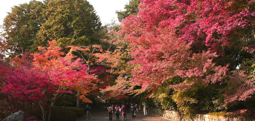 グA낵AUācBOx̊𖡂킦鋞sERuv̊ԌEgtRB