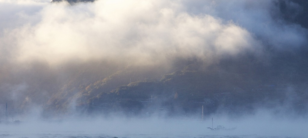 �ɗ\���l�̓~�̕������w�n�삠�炵�x�B���E�I�ɂ��������g�_��I�ȋǒn���h������̂͂������H