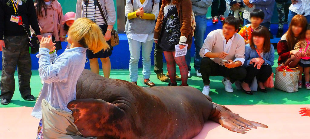 g[h̐!?ɐu񌩃V[p_CXv́AČĐGĊy߂I