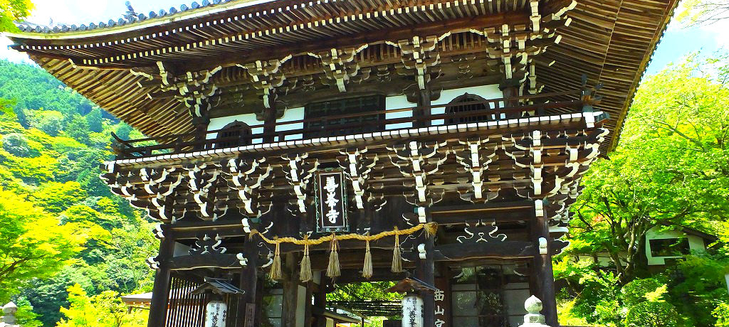 킴킴RRɗӖI肢EsRuPv