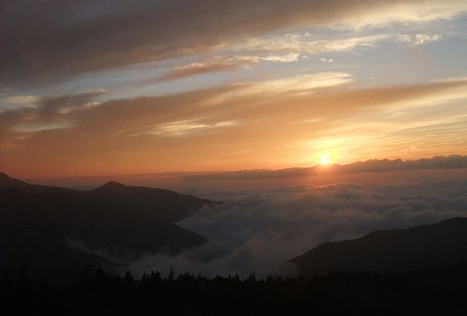 IuꑐÍ[gERhCuC猩[zɏƂ炳_CII