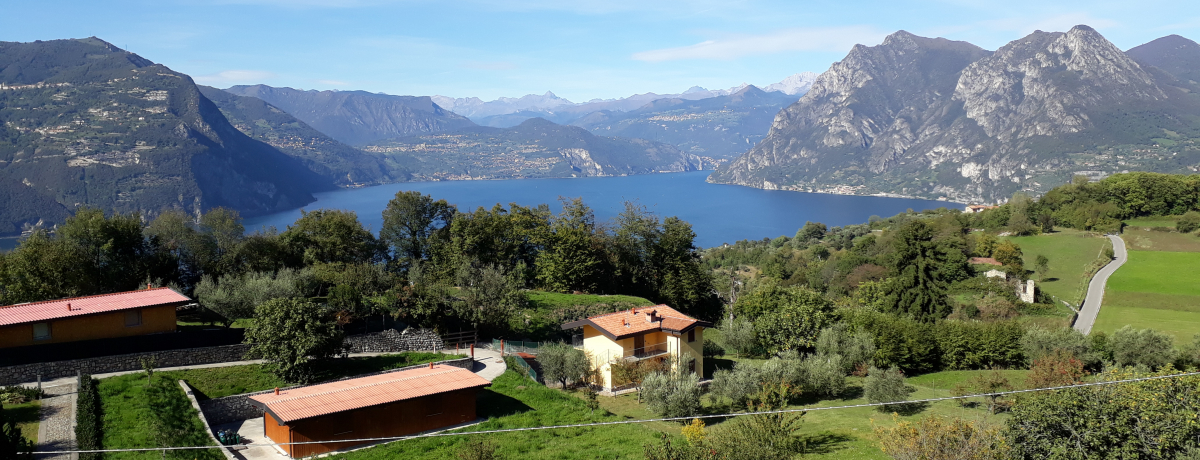 C^AEC[I΂ɕԋueC]v猩钴i