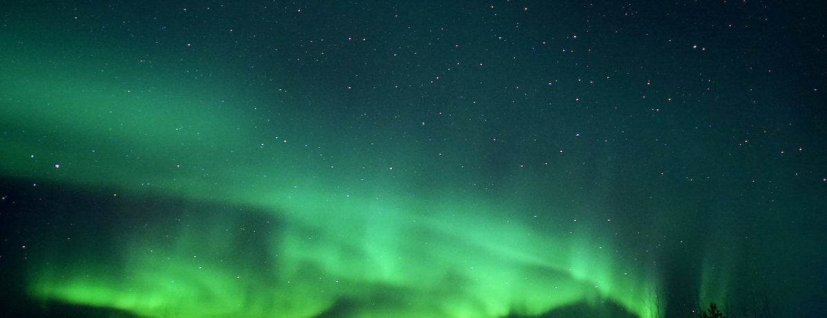 I[ӏ܂̌IJi_EzCgz[X߂5̗R