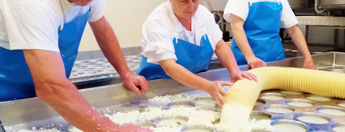 E1ʁIgXJ[iBuCEtBI[mv̓yR[m`[YẺ