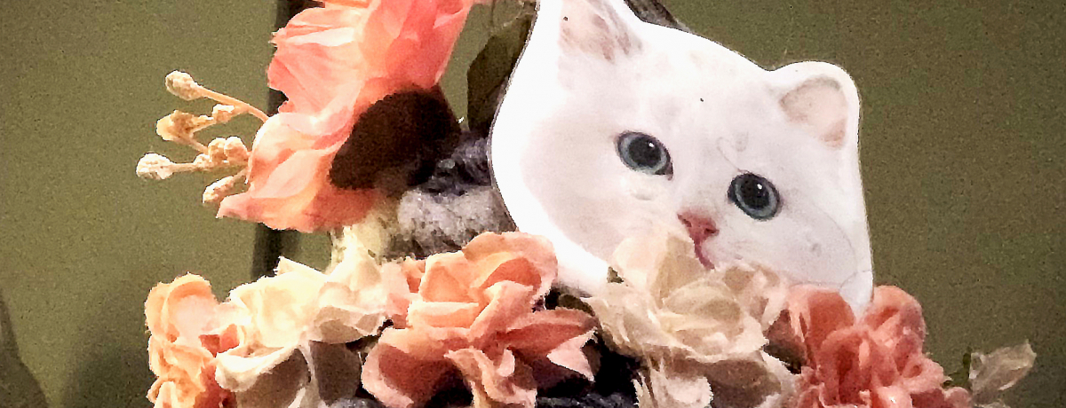 fdオI{OK̑pVv[uansleepv