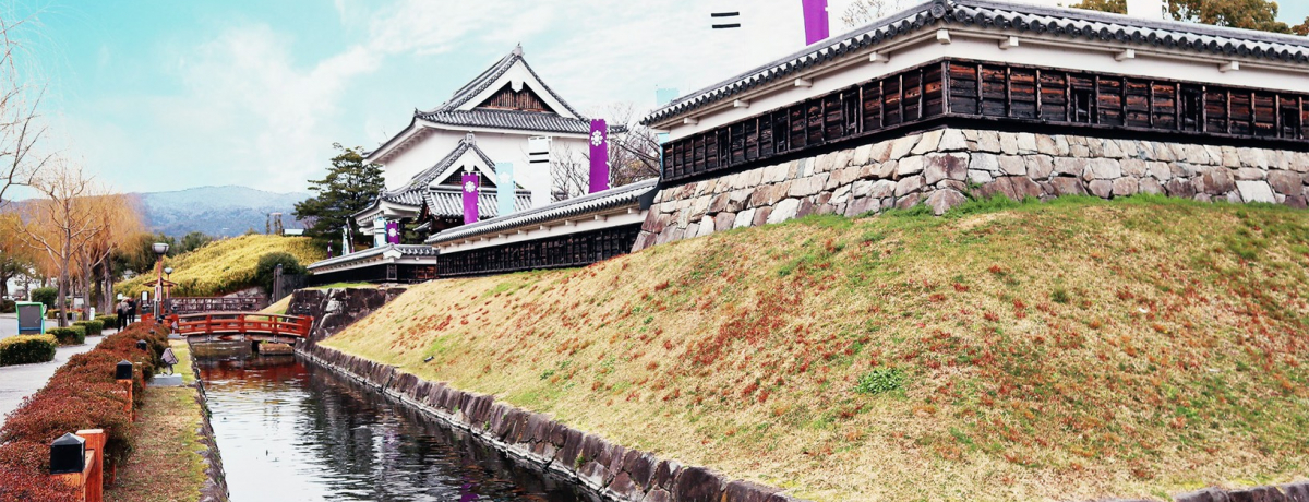 ��̓h���}�u�i�ق�����v�Œ��ځI�R�荇��j�Ղ߂���