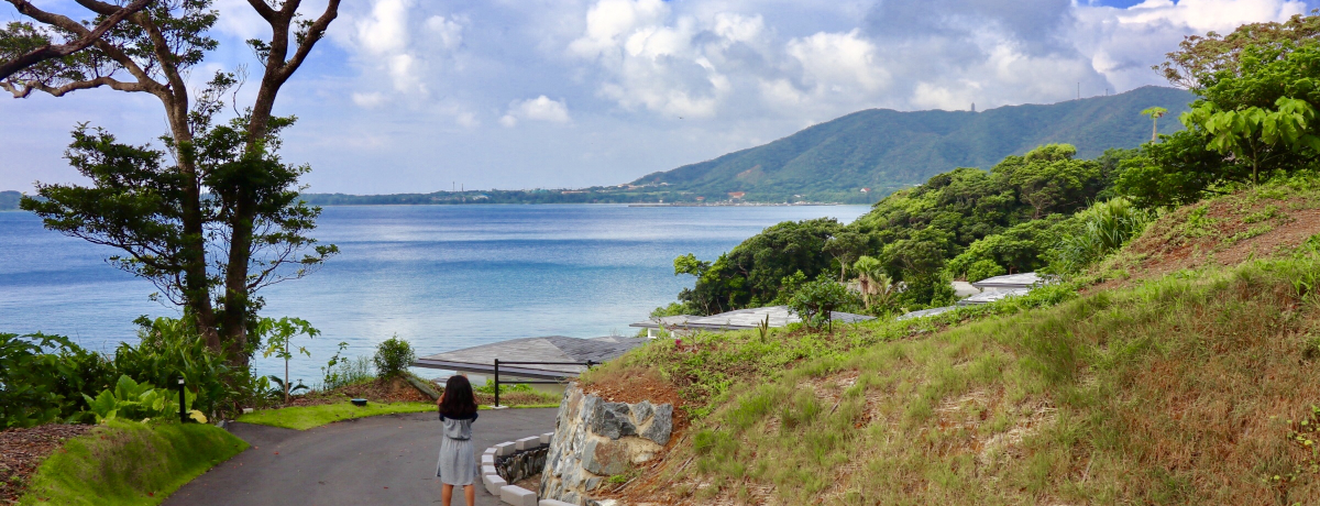 ulXgAbgr[`Bv͊Cɖʂ㎿][gI