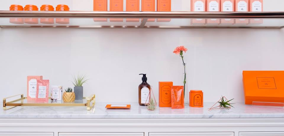 kI̎qɊŶXuDAYLILYv