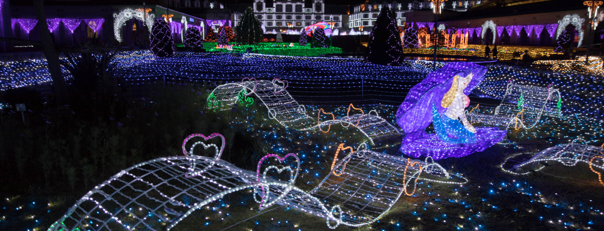 i̊X@_˂̃C~l[V@u_˃C~i[W2017-2018v