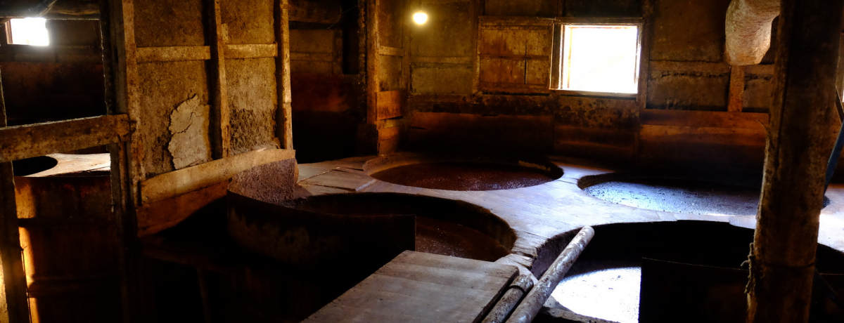 150NŐ؉ŎdޏݖwIu}Nݖv