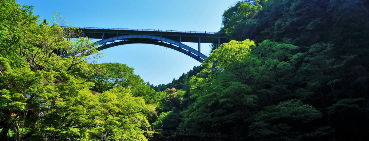 䋬ȂIJ̗V{SI̒IcAi̋u