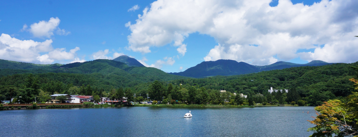 uHYTTER LODGE & CABINSvɏhIȌ΂Opقi