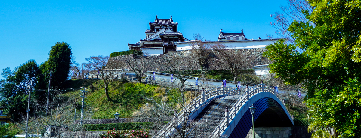 2020N͂̎EqG肵sOGA߂闷