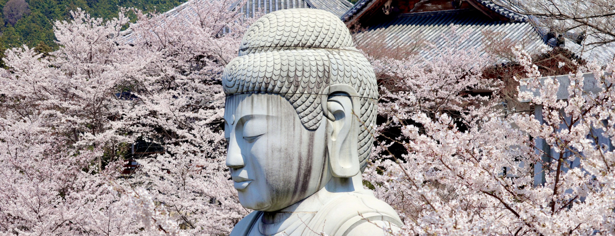 mĂ!?͂Iޗǂ̉Bꂽ̖I