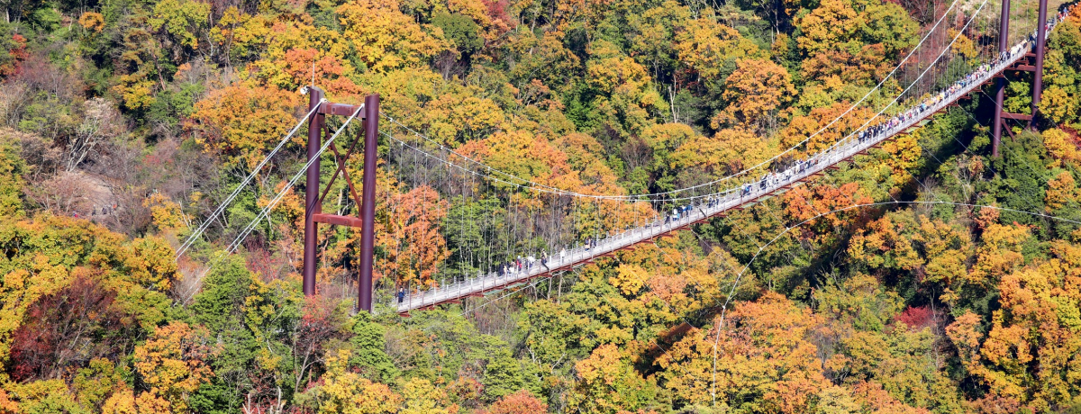 ̍gtKX|bgIقnũuRvŐǐ