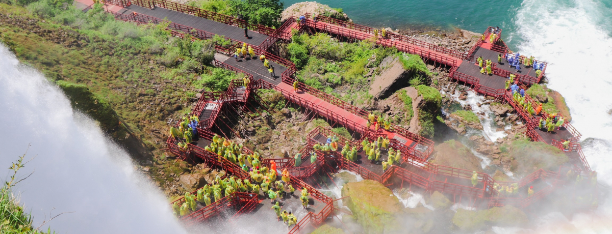 �i�C�A�K���̊y���ݕ��͂���Ō��܂�I���͖��_�u���̓��A�v