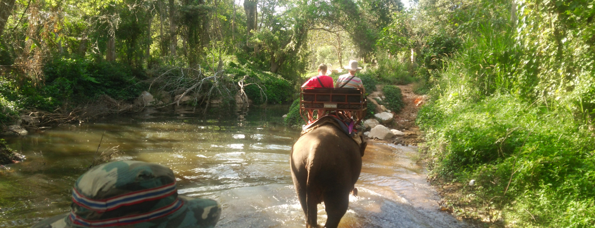 ^C̐EYJICŏۏgbLO^Č