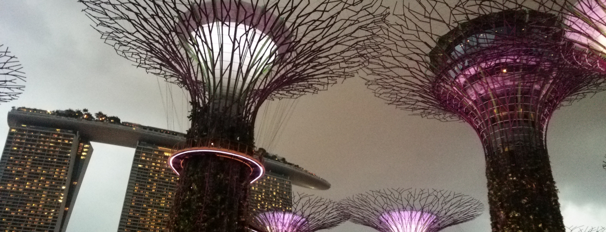 ߂ẴVK|[I34ƊόfR[X