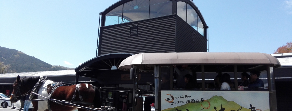 Rz@uYUFUiNFOiӂӂjv֗ŋSn悷郏P