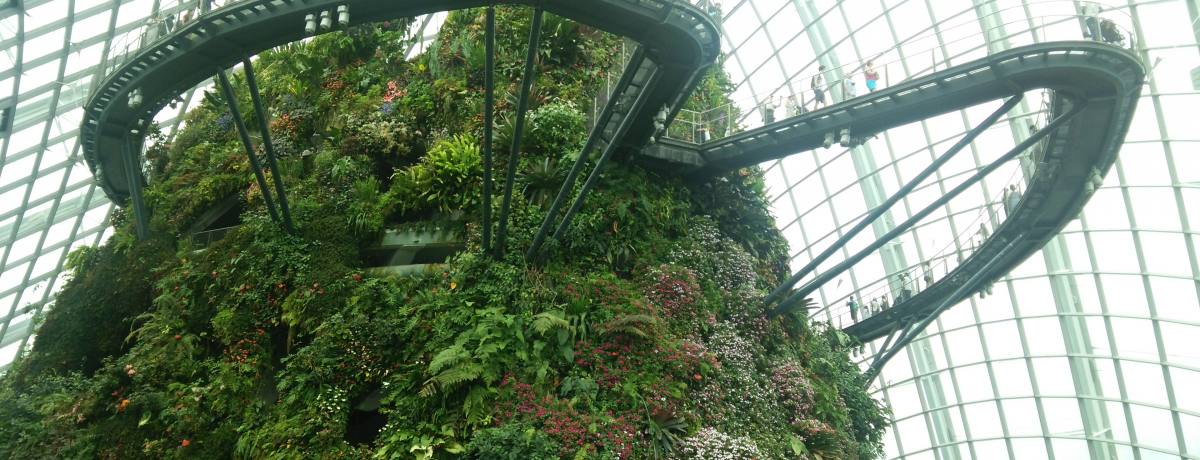 ȉ_т̓IVK|[ENEhtHXg|II