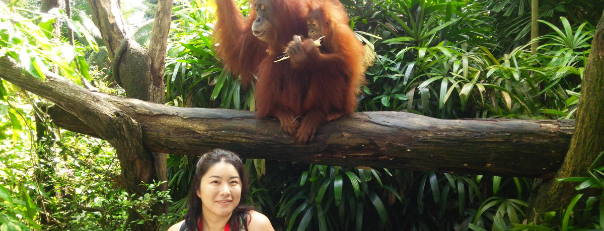 IE[^ɍŐڋ߁uVK|[v͐ԓW̐삯