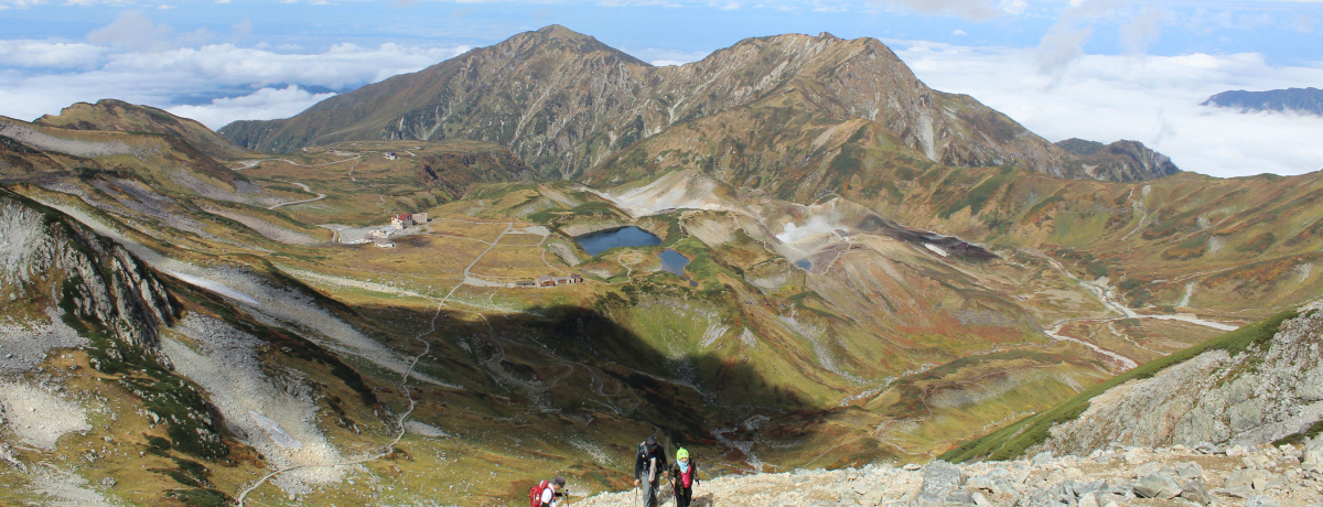 REӂ̂ߎUR[X5II~NKrEx