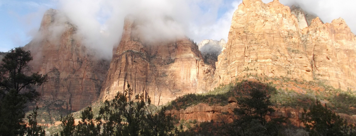 AJEOhT[NuUCIv̌kJgbLO