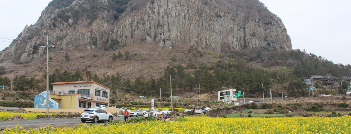 ϏBER[RuR[AvΎRWIp[Nɓ`̖򐅂I