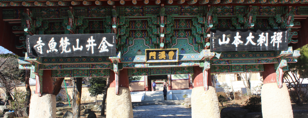 ؍uꒌv̌IRE͋R[̃p[X|bg