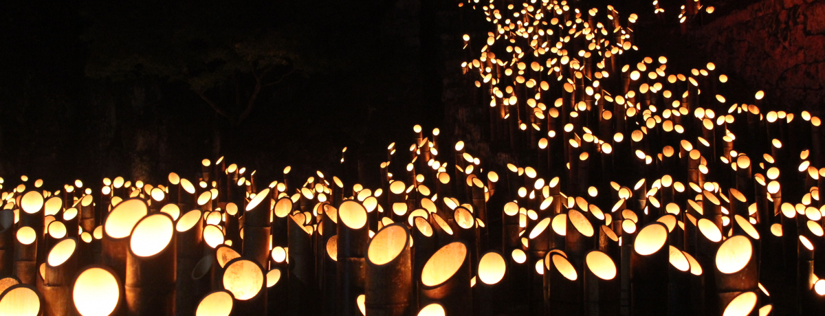 zIȍʂI鉺E|cu|āE|yv͏H̕