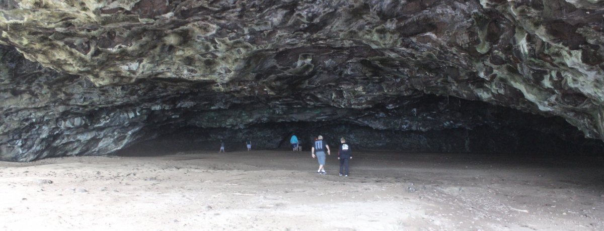 JEACm[XVAIZFcniCƖk̑厩R