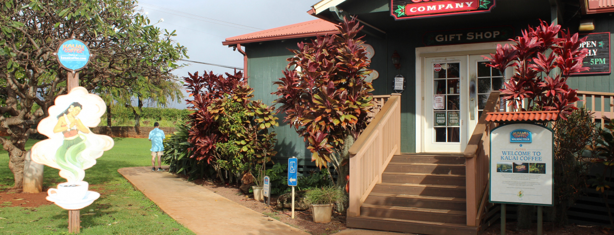 JEACYIJEACR[q[Jpj[ŃR[q[[x