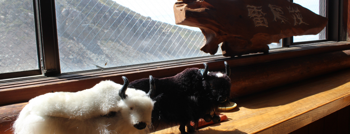 �u�������v�͗��R�G���A�g���b�L���O���̃I�A�V�X�I�R�����I