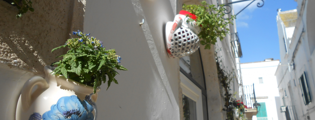 ȕ̂܂邢EɁuRghvŔsX