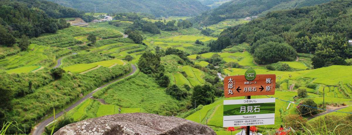 ʕ{̉BꂽinuIcvnCLOŊyދG߂̕i