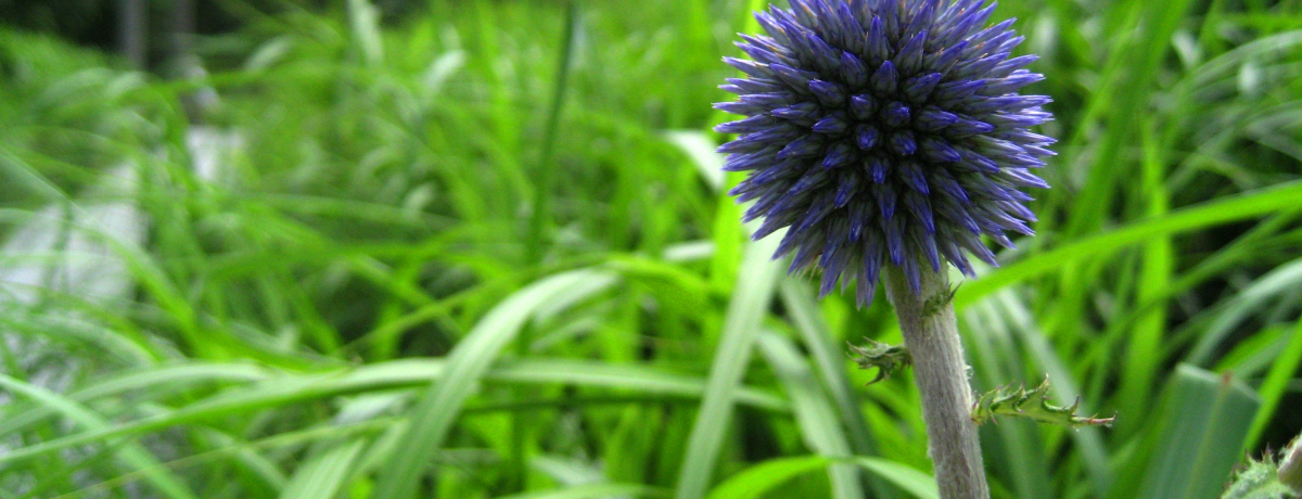 Ăɍs啪u^fvX̎UHŖ悤