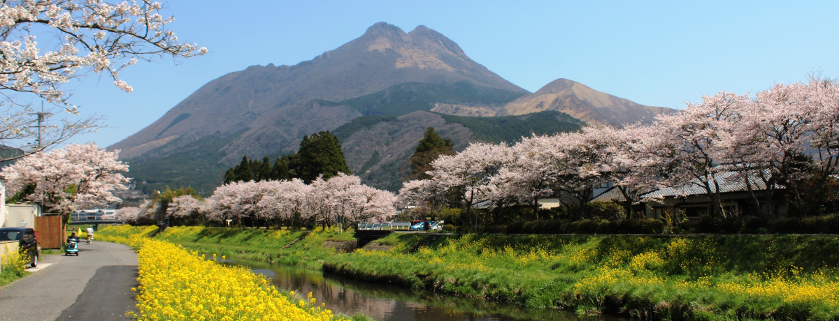 由布院の桜2017』湯布院・由布院温泉(大分県)の旅行記・ブログ