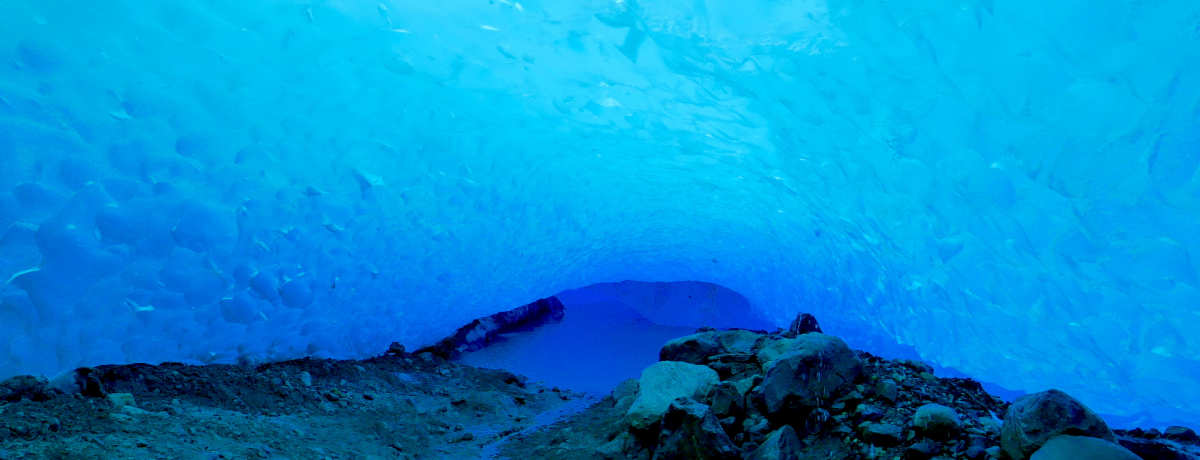 ̐EĂ݂悤IA[`uygEmX̓~jgbLOv